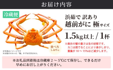【訳あり】越前がに本場の越前町からお届け！ 越前がに 浜茹で 極みサイズ（生で1.5kg以上） × 1杯【1月発送分】 [e14-x013_01] 越前町 雄 ズワイガニ ボイル 冷蔵 越前がに 越前