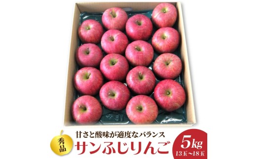 りんご（サンふじ）５ｋｇ　１３～１８玉　0056-2621