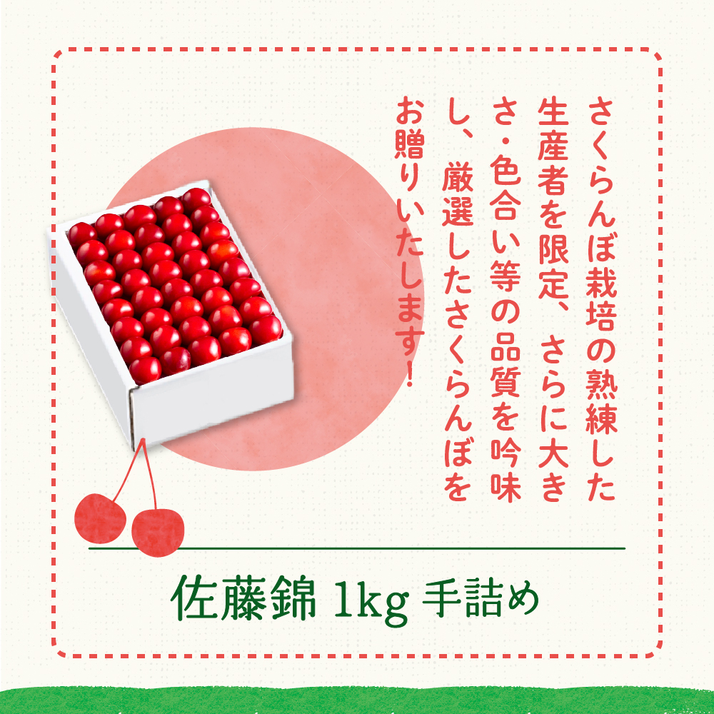 【先行予約】 令和8年産 さくらんぼ 佐藤錦 1kg ( 手詰め ) 2026年6月上旬～下旬頃お届け予定