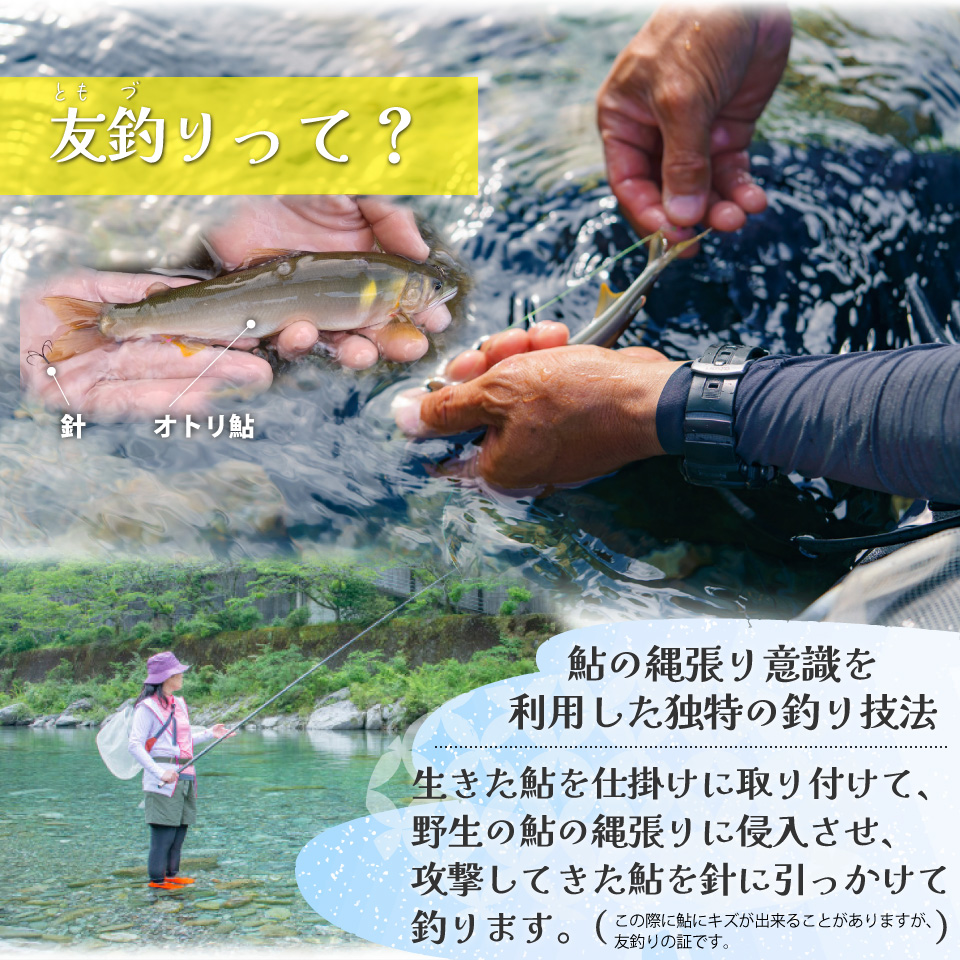 ＜鮎屋仁淀川の仁淀ブルー友釣あゆで作るパエリアセット＞先行予約 天然鮎 ミールキット 料理キット パエリア キャンプ飯 アウトドア 簡単調理 あゆ アユ 香魚 国産 高知県 佐川町 鮮度抜群 NIYO