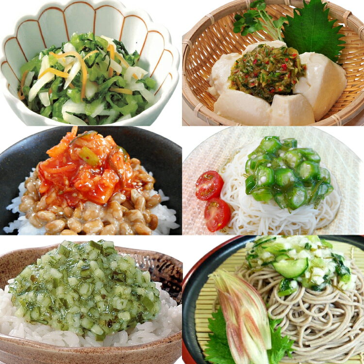 【ふるさと納税】漬物 2回 定期便 詰め合わせ 3種 ( 山形のだし 2p おみ漬 2p わさび昆布 1p ねぎからし 2p 味付けオクラめかぶ 2p ごま油壷キムチ 1p ) [tk06ayk200005 山形県 高畠町 三和漬物食品] セット 漬け物 ご飯のお供