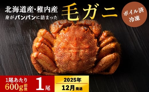 【2025年12月上旬発送】【ボイル済み急速冷凍】身がパンパンに詰まった稚内産毛ガニ600g前後×1尾（合計1.1キロ以上）