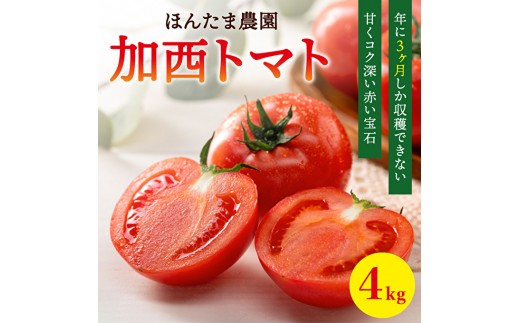 
加西市産 ほんたま農園の大玉トマト 4kg（2kg×2箱）
