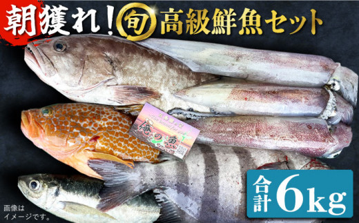 
【五島列島・直送】朝獲れ！高級鮮魚セット6kg 五島市 / 鯛福丸水産 [PDP004]
