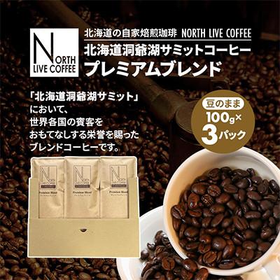 ふるさと納税 江別市 北海道洞爺湖サミットコーヒー「プレミアムブレンド」※豆のまま(100g×3パック)