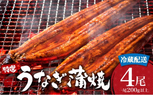 ＜2026年6月配送＞うなぎ蒲焼き 800g (200g×4尾) ／ 国産 蒲焼き 長焼き ウナギ 鰻 蒲焼 冷蔵 贈答 うなぎ