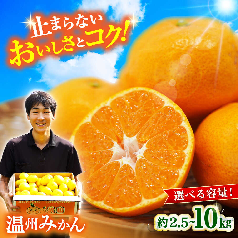 【ふるさと納税】高評価★4.71【先行予約！11月中旬頃〜1月中旬配送】長崎県産 温州みかん 約2.5kg～10kg / みかん 柑橘 ミカン 蜜柑 2.5kg 5kg 10kg 選べる容量 フルーツ 果物 / 大村市 / 山光農園[ACAI001]