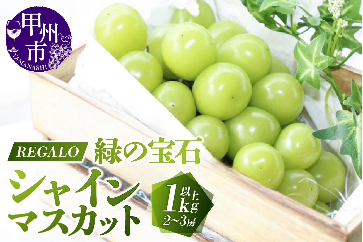 頬張る幸福感 ～緑の宝石・シャインマスカット～ 1kg以上（2～3房）【2025年発送】（RG）B-840