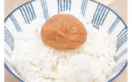 紀州南高梅 梅フレッシュ（塩分約5％）400g×6  / 田辺市 紀州南高梅 南高梅 梅干し 梅干 梅 うめ 肉厚 お米 おにぎり 焼酎 梅酒 健康 はちみつ入り 減塩 塩分控えめ ご飯のお供【fuz