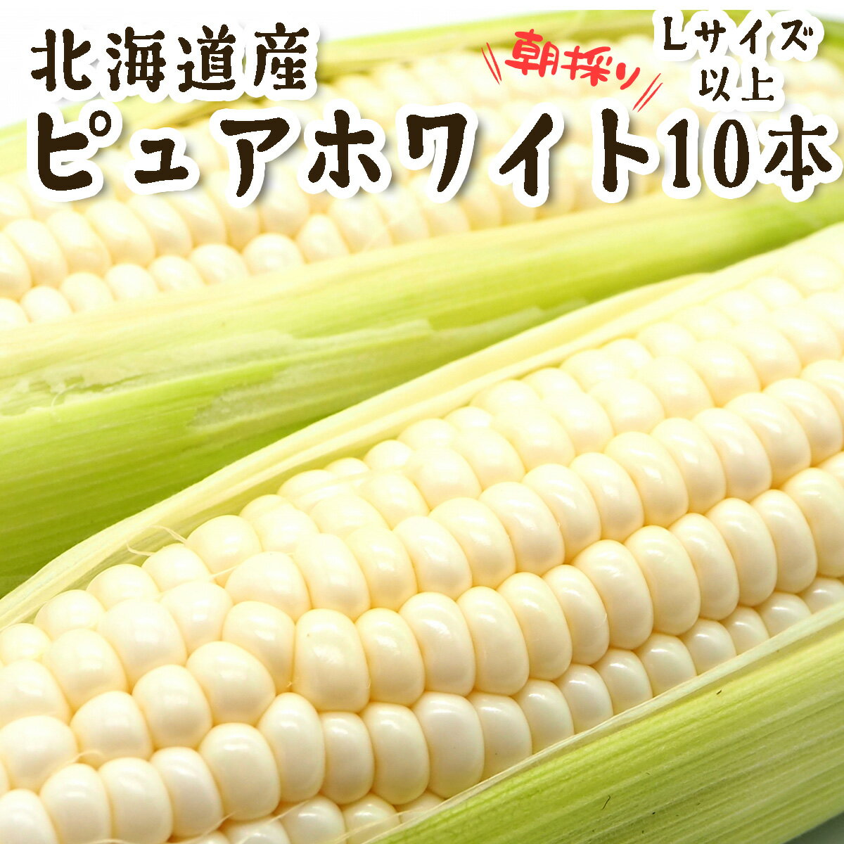 【ふるさと納税】 ＜ 10月上旬より発送開始 ＞ 北海道産 白い とうもろこし 10本 Lサイズ 以上 ピュアホワイト トウモロコシ とうきび コーン 白 ホワイト 生 甘い 期間限定 朝採れ 野菜 新鮮 冷蔵 北海道 新ひだか町 ＜ 予約受付 ＞