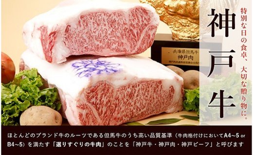 【冷蔵便】神戸牛 ステーキセット 計800g（サーロイン＆柔らか赤身 200g 各2枚）