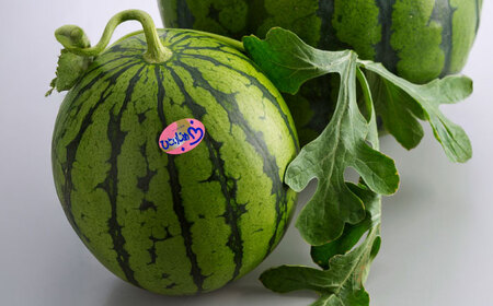 【2026年発送分&nbsp;先行予約】【数量限定】【全3回定期便】 すいか 3種 食べ比べ セット 定期便 計5玉（小玉2 大玉1 黒小玉2） スイカ[AYAB030]