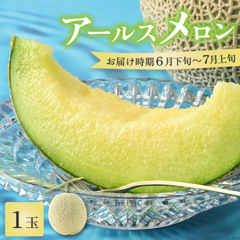 【ふるさと納税】【先行予約】【青肉】アールスメロン 1玉（約1.6kg以上）青肉品種 高級メロン！ ／ マスクメロン 大玉 果物 フルーツ 夏 ギフト 農家直送 ※2026年6月下旬以降順次発送予定