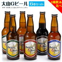 【ふるさと納税】大山Gビール 飲み比べセット 330ml×6本 （ヴァイツェン・ピルスナー×各2本、ペールエール・スタウト×各1本） 久米櫻酒造【22-010-010】4種 地ビール 10000円 1万 地ビール クラフトビール お取り寄せ ビール 酒 鳥取県 米子市 人気