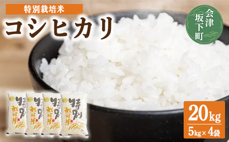 3-M　コシヒカリ 白米 会津 5kg 4袋 計20kg 令和7年産米 ｜ 減農薬 特別栽培米 米 お米 藤川農産 ※2025年10月上旬頃より順次発送予定
