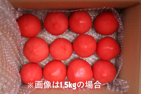 【2026年予約】極旨トマトクール便 北海道壮瞥町産 スイート3kg 中玉トマト SBTAJ019