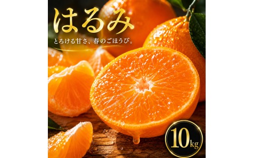 【選ぶならこれ】 ぷちぷち食感 【はるみ】 10kg 愛媛県産 【2027年2月中旬頃から順次発送】 | みかん ミカン mikan 蜜柑 訳ありフルーツ 柑橘 果物 おすすめ お勧め お取り寄せ ギフト 愛媛県 松山市