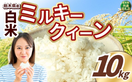 いちご農家さん応援米！ 令和7年度産 白米 約10kg ミルキークイーン | 真岡市産 米 お米 こめ 白米 ご飯 ごはん もちもち ミルキークイーン 限定 ふるさと納税  栃木県 真岡市 送料無料
