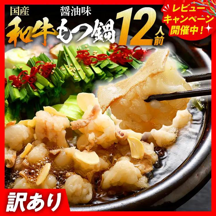 もつ鍋 訳あり 醤油味 12人前 もつ鍋セット