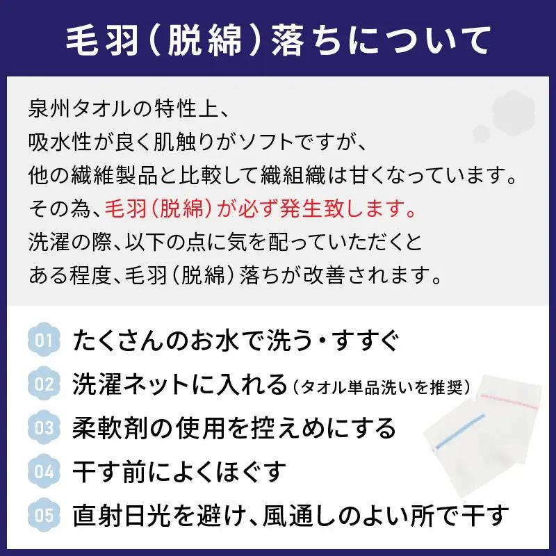 【泉州タオル】吸水力と肌触りが自慢のデイリーユースフェイスタオル ホワイト10枚 セット 国産 人気【039D-250】