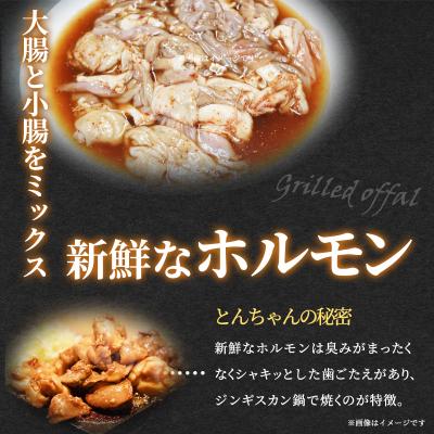 ふるさと納税 岩沼市 【河村商店】岩沼ホルモン(とんちゃん)400g×5個[No.5704-0451] |  | 02