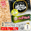 【ふるさと納税】【新米発送】知内産 ふっくりんこ 玄米 選べる5kg～10kg 【JA新はこだて】 知内町 ふるさと納税 玄米 こめ 北海道産お米 北海道米 美味しいお米 北海道産米 ブランド米知内町 ふるさと納税 米 こめ