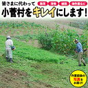 【ふるさと納税】ふるさと小菅をきれいに！除草、清掃等サービス