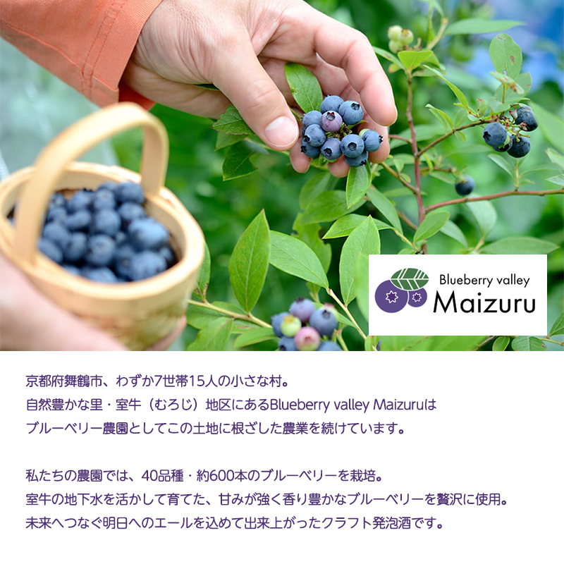 ブルーベリーミライエール 330ml×6本 | ブルーベリー 国産 発泡酒 地ビール クラフトビール フルーツビール 地ビール ブルーベリービール 国産果実 女性向け ギフト 手土産 フルーティー ビ