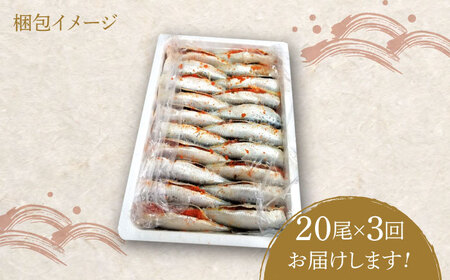 【全3回定期便】ピリ辛 いわし明太20尾《築上町》【株式会社マル五】[ABCJ078] 明太子パスタ 明太子ご飯 明太子おすすめ 明太子アレンジ 人気明太子 明太子マヨネーズ 明太子おにぎり 明太子酒
