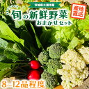 【ふるさと納税】旬の新鮮野菜おまかせセット（8～12品程度）