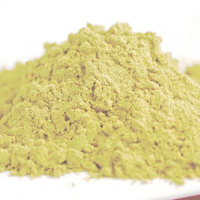 ふるさと納税 延岡市 延岡産「徐福草(ヒュウガトウキ)粉末」100g |  | 02