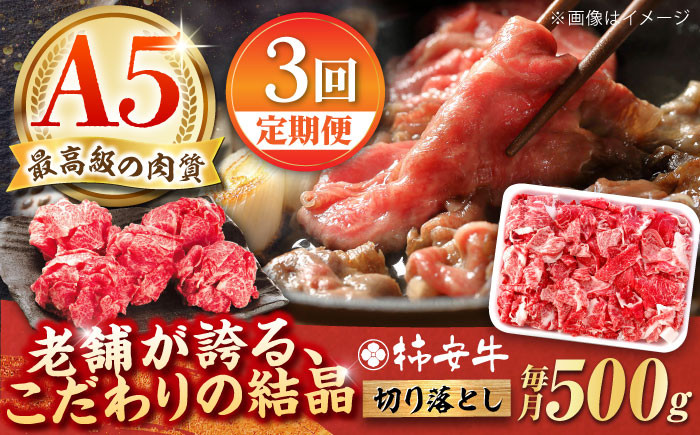 
            【3回定期便】最高級A5等級 三重県産 黒毛和牛 柿安牛 切り落とし 500g / 国産牛 ブランド牛 牛肉 冷蔵 / 亀山市 / 柿安本店 [AMBW009]
          