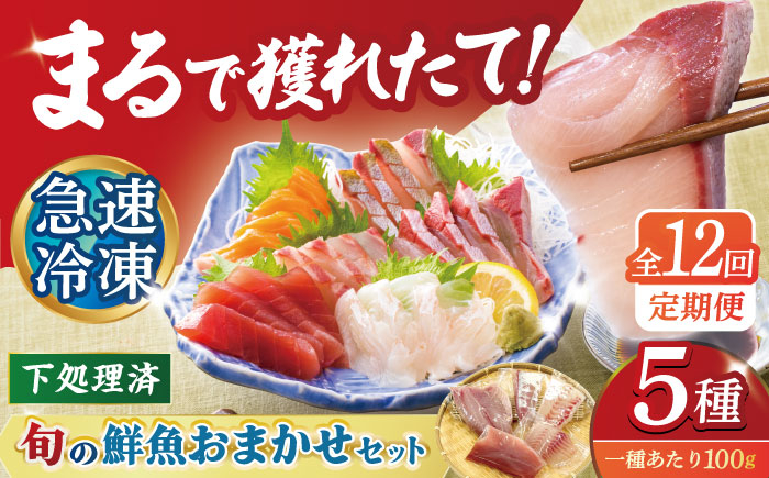 
                  【12回定期便】海鮮 超速冷凍鮮魚5種 五島市/金沢鮮魚[[PEP021]刺身 さしみ 刺し身 刺身セット 刺身 刺身丼 海鮮丼 セット 冷凍 海鮮  海鮮丼の具 盛り合わせセット 小分け 海鮮 魚介人気  セット 魚介類 海鮮 人気 柵 真空パック 新鮮 下処理済み
                