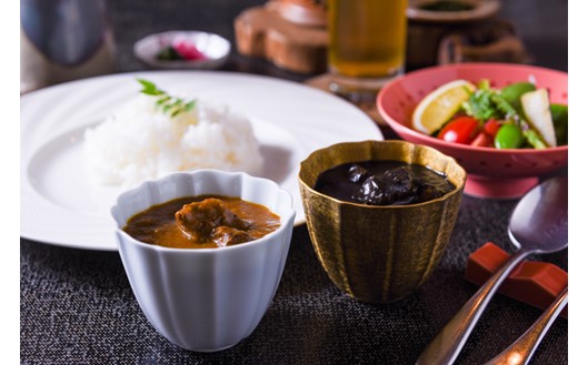【黒川温泉 御客屋の極み】肥後の赤カレー（あか牛）・黒カレー（馬肉）お試しセット カレー お試し セット 黒川温泉 御客屋の極み レトルト ギフト 贈答用 肥後の赤カレー あか牛 肥後の黒カレー 馬肉 わろく屋 熊本 阿蘇 南小国町 送料無料