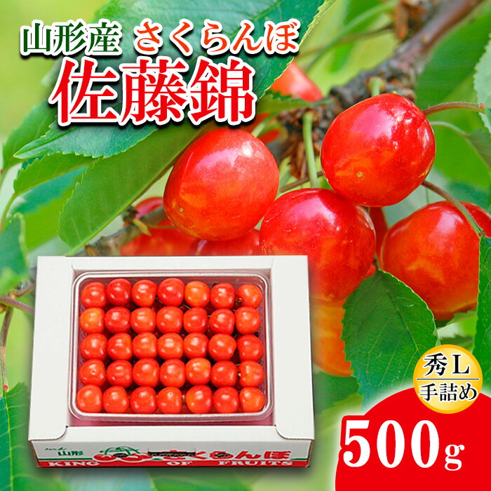 【ふるさと納税】さくらんぼ 佐藤錦 L500g 手詰 【令和7年産先行予約】FS24-581 くだもの 果物 フルーツ 山形 山形県 山形市 お取り寄せ 2025年産