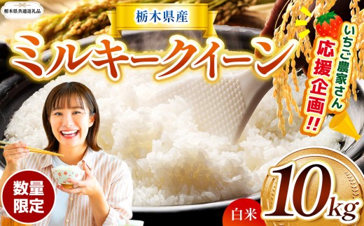 【栃木県共通返礼品】【先行予約】【定期2回】 訳あり 数量 限定 令和8年度産 ミルキークイーン 約 10kg | とちぎの星 ミルキークイーン  玄米 白米 ごはん おいしい  ふるさと納税 那珂川町 栃木県