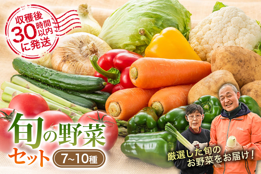 安芸高田市の小さな農家がお届けするふるさと旬野菜セット 野菜類 詰合せ やさい
