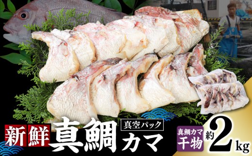 新鮮真鯛カマ干物 （約2kg）　M079-011-04