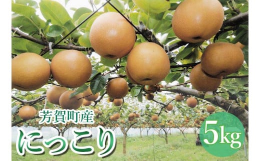 【先行予約】「にっこり」 梨 5kg 箱 6～8玉 栃木県 芳賀町産 | 梨 なし 果物 フルーツ 秋の味覚 産地直送 期間限定 季節限定 季節商品 送料無料 栃木県 芳賀町 ※離島への配送不可 ※2025年10月上旬～11月上旬頃に順次発送予定