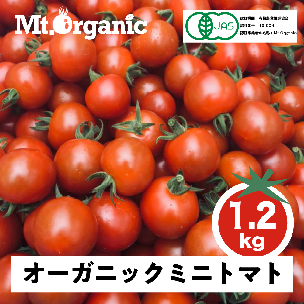 先行予約 2025年発送 【8〜10月発送】オーガニック ミニトマト 1.2kg 有機JAS認証 Q731rex_25