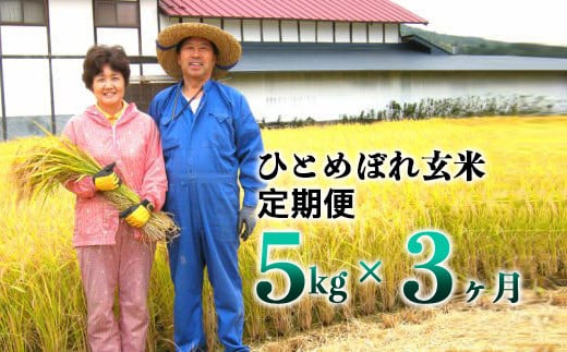 
            ≪令和6年産≫【3ヶ月定期便】減農薬栽培 ひとめぼれ 玄米 5kg 【1108】
          