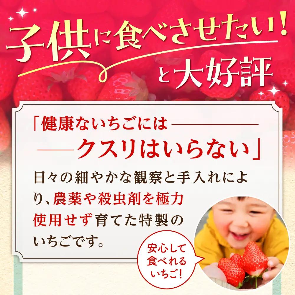 【先行予約】【2?4月発送】いちごさんさがほのか計4パック1kg HAF020 いちご