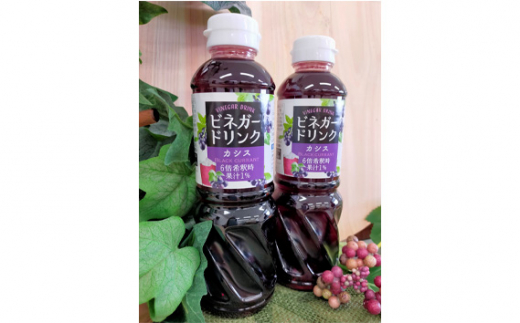 【キユーピー醸造】りんご酢・ビネガードリンクセット2 ／ 果実酢 健康 茨城県