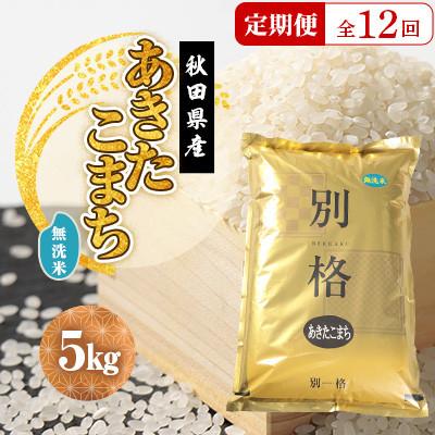 ふるさと納税 大潟村 【毎月定期便】あきたこまち 無洗米 5kg全12回