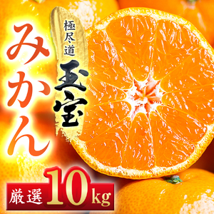 【愛媛名産】玉宝みかん【雫・・小玉】 10kg【G64-30】【1510746】 YWTY019