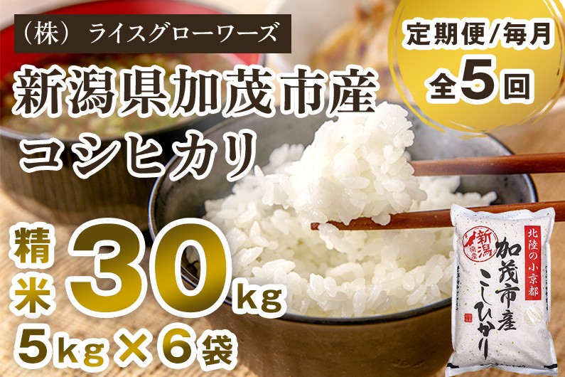 
                  【令和8年産新米先行予約】【定期便5ヶ月毎月お届け】新潟県加茂市産コシヒカリ 精米30kg（5kg×6）《10月上旬～順次出荷》  新潟県産コシヒカリ 新潟産コシヒカリ 新潟コシヒカリ 新潟県産こしひかり 新潟産こしひかり 新潟こしひかり コシヒカリ こしひかり お米 白米 米 定期便 （株）ライスグローワーズ
                