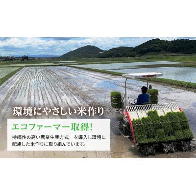 ふるさと納税 加西市 お米 定期便 きぬむすめ 白米 6kg(3kg×2袋) 3ヶ月連続お届け [No5698-1821] |  | 03