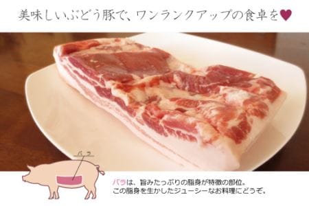 綾ぶどう豚バラブロック1kg（36-175）