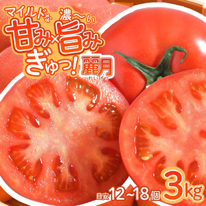 デリシャスファームのトマト(麗月)3キロ箱 ※沖縄・離島配送不可 / とまと 野菜 トマト【delf011】