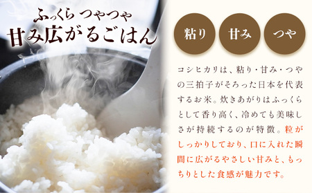 神石高原町産 コシヒカリ 米 10kg 株式会社MSERRNT《寄附後2週間日以内に出荷予定(土日祝除く) 》お米 白米 ご飯 ごはん 白ご飯 白飯 国産 コメ 広島県 神石高原町